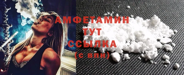 твердый Арсеньев