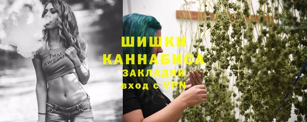 твердый Арсеньев