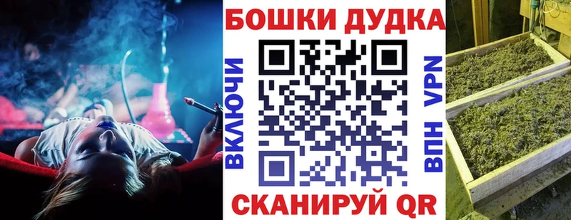 Конопля сатива Хилок